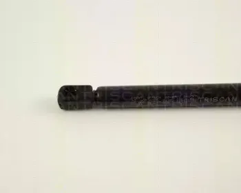 triscan-871029231