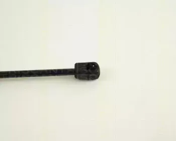 triscan-871029231