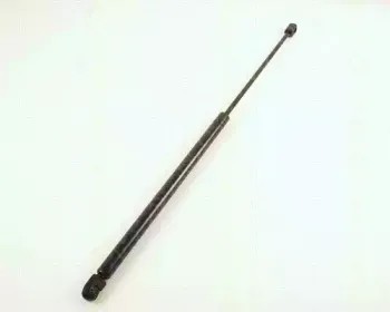 triscan-871029232