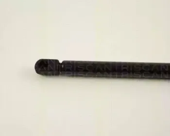 triscan-871029232