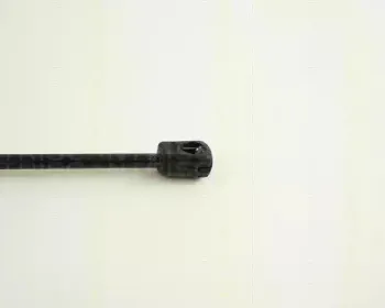 triscan-871029232