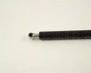 triscan-871029233