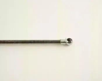 triscan-871029233