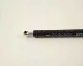 triscan-871029236
