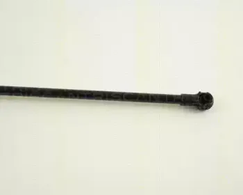 triscan-871029236
