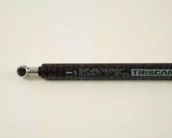 triscan-871029238
