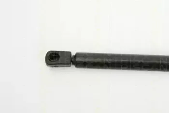triscan-871029245