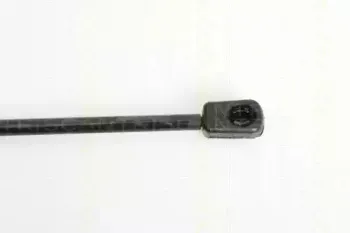 triscan-871029245