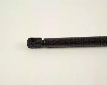 triscan-871029246