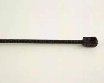 triscan-871029246