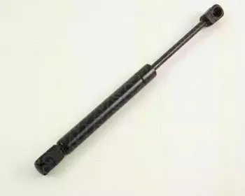 triscan-871029247