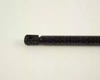 triscan-871029247