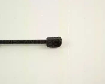 triscan-871029247