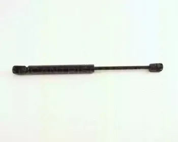 triscan-871029248