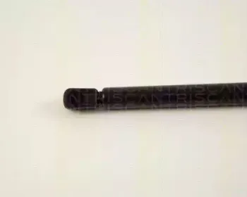 triscan-871029248