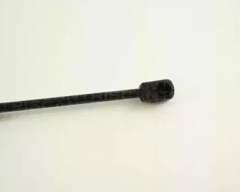 triscan-871029248