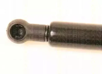 triscan-871029249