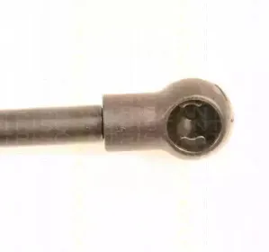 triscan-871029249