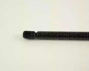 triscan-871029256