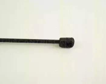 triscan-871029256