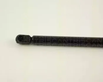 triscan-871029257