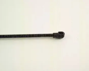 triscan-871029257