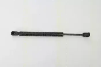 triscan-871029260