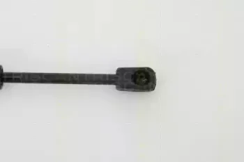 triscan-871029260