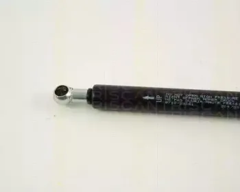 triscan-871029261