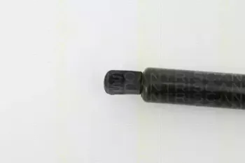 triscan-871029263