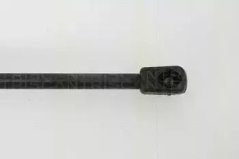 triscan-871029263