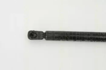 triscan-871029265