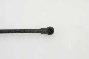 triscan-871029265