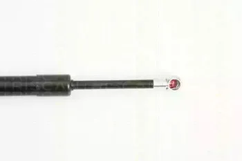 triscan-871029274