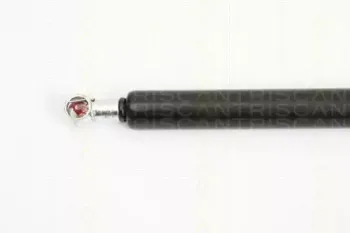 triscan-871029277