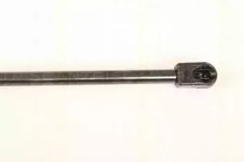 triscan-871029289