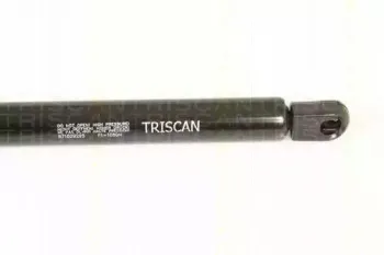 triscan-871029295
