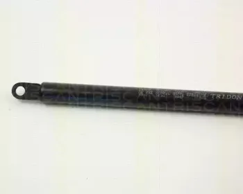 triscan-87103802