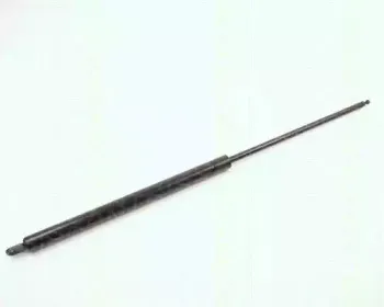 triscan-87103807