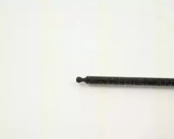 triscan-87103807