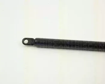 triscan-87103809
