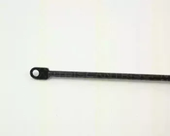 triscan-87103809