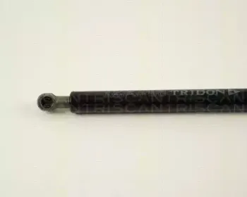 triscan-871038101