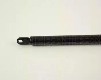 triscan-871038205