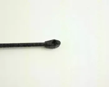 triscan-871038205