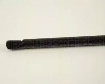 triscan-871038208
