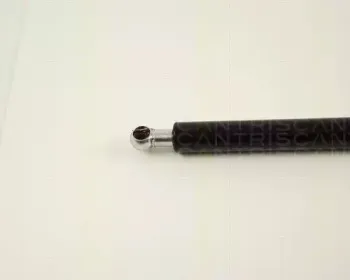 triscan-871038210