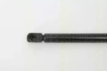 triscan-871038218