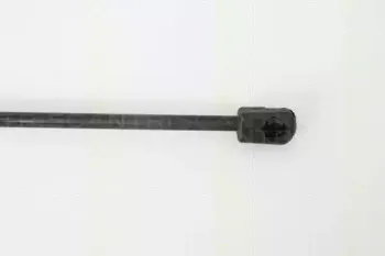 triscan-871038218
