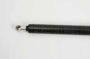 triscan-871038225